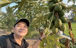 Diễn viên Minh Luân khoe cải tạo vườn rộng 2000m2, trồng toàn cây ăn trái