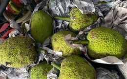 Quả lạ miền Tây tràn ra Hà Nội: Ngoài trông như mít, trong lại giống khoai