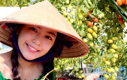 Đội nón lá ra vườn thu hoạch cà chua mà con gái Lọ Lem của Quyền Linh vẫn gây xao xuyến