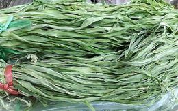 Bó rau khô như nắm rơm mà giá tận 500.000 đồng/kg, khách Thủ đô muốn ăn phải đặt trước nửa tháng