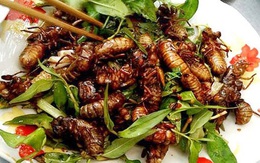 Món đặc sản thử thách lòng can đảm của người ăn ở vùng Long Khánh