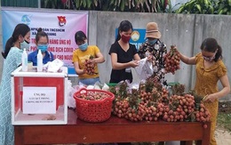 Phiên chợ nghĩa tình dành tiền ủng hộ Quỹ vaccine phòng COVID-19 ở Quảng Trị