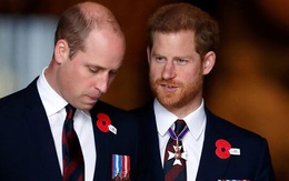 Hoàng tử William 'phát ngán với những drama quanh Harry'