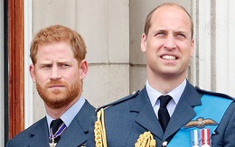 Hoàng tử Harry muốn có phóng viên riêng ở lễ khánh thành tượng Diana
