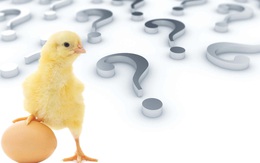 Con gà hay quả trứng có trước? Câu hỏi “hack não” đã có lời giải?