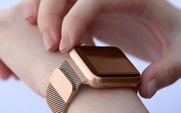 Lợi dụng giao hàng thu tiền hộ, chiếm đoạt gần 4 tỷ