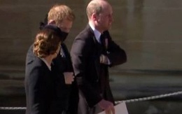 Công nương Kate giúp William và Harry tạo thể thống nhất ở lễ dựng tượng Diana