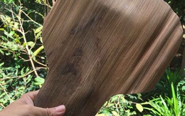 Quạt mo cau ngày xưa nhà ai cũng có một cái, nay lại trở thành sản phẩm "đẻ" ra hơn trăm triệu mỗi tháng