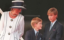 Hoàng tử Harry nhắc tới William trong lễ trao giải tôn vinh Diana