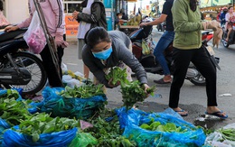 Rau tại chợ TP.HCM tăng giá mạnh, rau ở vườn ế ẩm