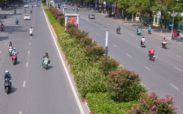 Khung cảnh tuyến đường Trần Duy Hưng - Nguyễn Chí Thanh giờ ra sao sau 1 tháng di dời hàng cây phong lá đỏ