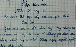 Bài văn tả cây của học sinh lớp 3 khiến nhiều người lớn sững sờ