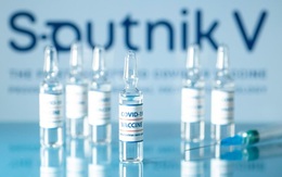 Gửi 10.000 liều vaccine Sputnik V đầu tiên do Việt Nam gia công sang Nga, chờ kiểm nghiệm