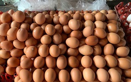 Hà Nội: Trứng gà tăng giá mạnh, nhiều nơi ‘cháy hàng’