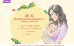 Mẹ Việt – Thương hiệu hướng dẫn phương pháp giáo dục sớm Glenn Doman