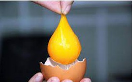 Có thể bạn chưa biết: Những loại trứng gà có giá lên đến 100.000 đồng/quả