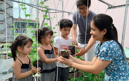 Khu vườn xanh tươi trên mái nhà và bí quyết đáng học hỏi của mẹ 3 con ở Sài Gòn