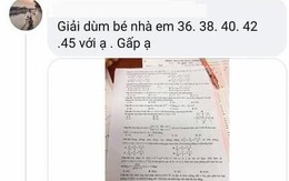 Nữ sinh 'tuồn' đề thi Toán là học sinh giỏi 3 năm liền