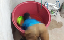 Thương tâm bé 1 tuổi đuối nước tử vong ngay trong nhà: Một phút bất cẩn, ân hận cả đời