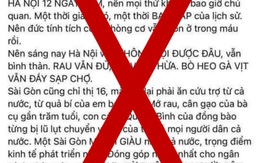 Người phụ nữ viết status 'Sài Gòn ăn từ thiện cả nước' bị phạt 5 triệu đồng