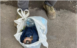 Nhìn thấy em bé sơ sinh bị gói trong túi ni lông vứt thùng rác, cảnh sát kiểm tra camera chứng kiến cảnh vô tâm đến xé lòng