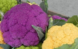 Lừa đảo bán rau Đà Lạt hữu cơ