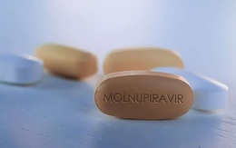 Sẵn sàng thuốc kháng virus Molnupiravir để thí điểm điều trị có kiểm soát F0 tại nhà và cộng đồng