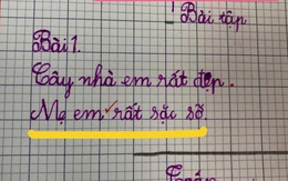 Học sinh đặt câu về mẹ, chỉ thêm vào 2 từ mà ai đọc đều lo cậu bé