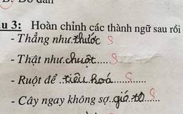 Học trò lớp 1 điền thành ngữ, giáo viên đọc xong muốn "trầm cảm", nhưng dân mạng lại thi nhau chấm 10 điểm!