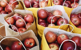 Táo đá Trung Quốc giòn, ngọt, giá siêu rẻ, dân buôn bán gần chục tấn táo mỗi ngày