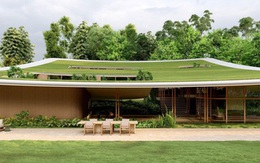Ngôi nhà ‘tàng hình’ nhờ dùng thảm cỏ làm mái