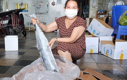 Hàng nghìn tấn tôm, cá ế đầy kho: chủ hàng lao đao lo phá sản
