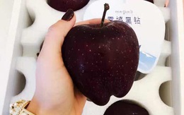 Qủa táo đen giòn ngọt gấp nhiều lần so với táo thông thường, bạn đã thử chưa?