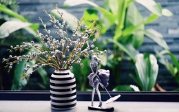 Loại hoa "độc, lạ" khiến chị em Sài thành mê mẩn, lùng mua cắm
