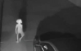 Xem lại camera an ninh, bà mẹ rụng rời chân tay phát hiện sinh vật đáng sợ lởn vởn trước nhà lúc đêm hôm