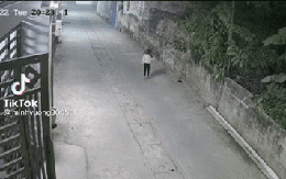 Bé gái tung tăng nhảy chân sáo, 5 giây sau "bóng đen" lao ra khiến em khóc thét gọi mẹ