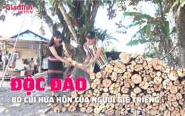 Bó “củi hứa hôn” trong đám cưới của người Giẻ Triêng đặc biệt như thế nào?