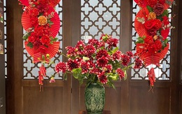 Loài hoa đẹp ngày xưa nhà nhà ở Hà Nội chơi Tết, một thời chìm vào quên lãng nay lại "hot" trở lại