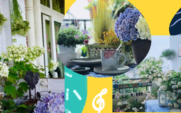 Chàng thiết kế trẻ khéo biến ban công 3m² thành khu vườn mộng mơ khiến các chị em cũng phải ghen tị