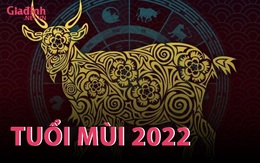 INFORGRAPHIC: Tử vi tuổi Mùi năm Nhâm Dần 2022