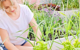 Người phụ nữ dùng cả tuổi thanh xuân để cải tạo khu vườn quanh năm xanh mát