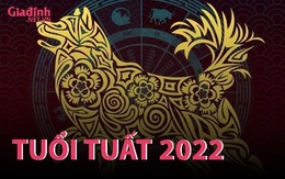 INFORGRAPHIC: Tử vi tuổi Tuất năm Nhâm Dần 2022