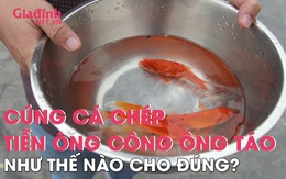 Cúng cá chép tiễn ông Công ông Táo như thế nào cho đúng?