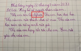 Chị gái ‘dở khóc dở cười’ vì lỗi 'kỹ thuật' trong bài văn của em gái