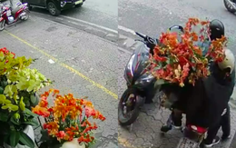 2 ngày mất 2 chậu hoa lan, chủ shop "tức tím mặt" khi thấy chân dung kẻ trộm trong camera