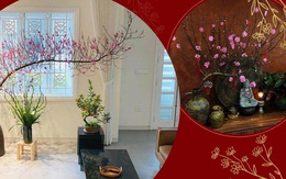 Bỏ qua hoa ngoại nhập, mẹ Việt mua đào trước Tết 20 ngày, Tết mê mẩn ngắm từng cái nụ