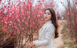 Vườn đào Hà Nội khoe sắc ngày giáp Tết