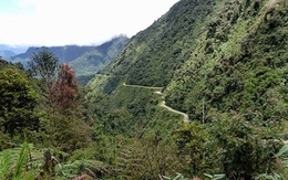Cuộc săn lùng trong đêm trừ tịch
