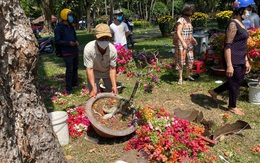 TPHCM: Trưa 29 Tết, tiểu thương cắt bỏ hoa, thu dọn hoàn trả mặt bằng