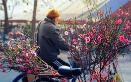 Miền Bắc sẽ đón bao nhiêu đợt rét đậm, rét hại trong tháng 1?